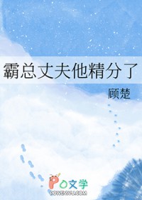 霸总丈夫他精分了